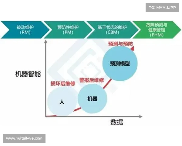 网球比赛中的伤病管理与预防策略探讨：如何降低运动员受伤风险