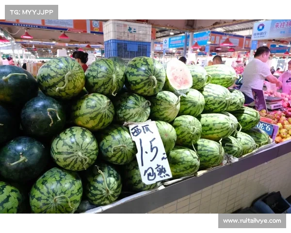 NBA球馆美食大揭秘:从经典热狗到豪华餐品的美味之旅 NBA球馆美食大揭秘:从经典热狗到豪华餐品的美味之旅