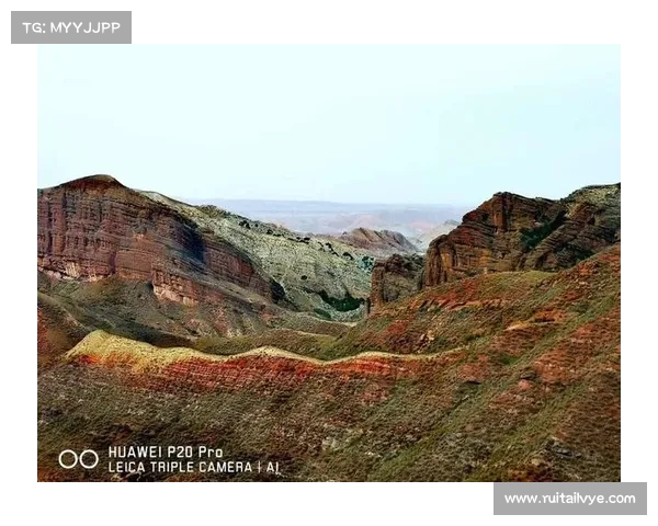 经典战役纵深解析 从战略布局到历史启示的全景式回顾 经典战役纵深解析 从战略布局到历史启示的全景式回顾
