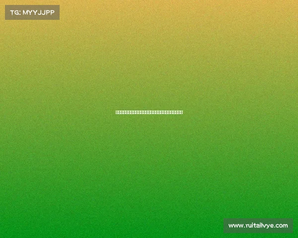 足球转会代理合同的核心内容与条款解析及法律风险防范措施